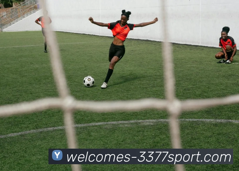 3377体育官网品牌故事