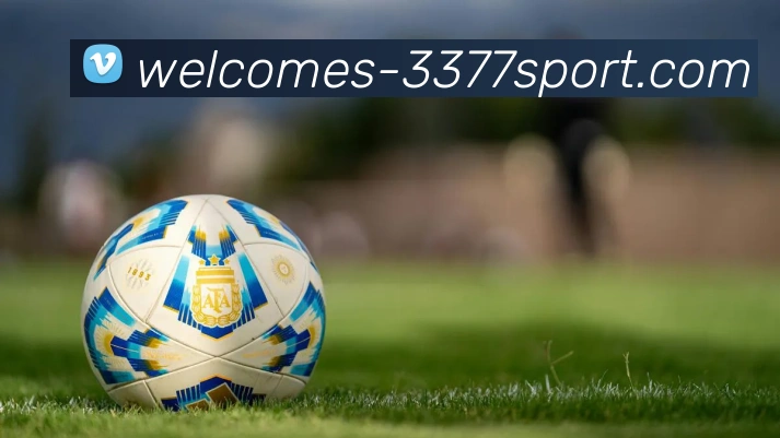 3377体育官网服务体系